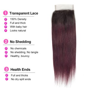 christy v remy hair 4x4 straight closure 1b99j