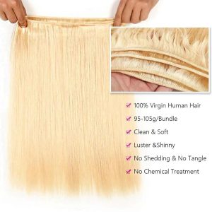 christy v asian raw hair #613 straight bundles